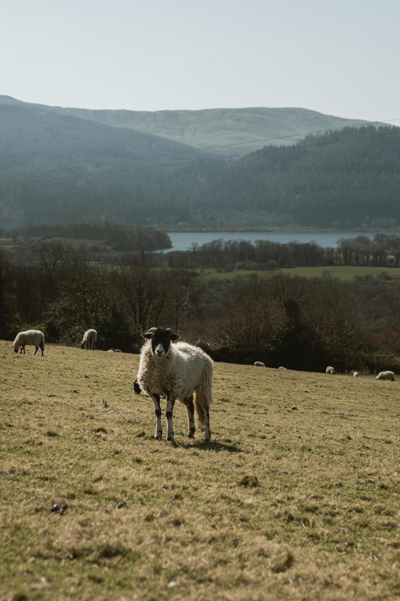 The Huts At Highside Farm Hotel Keswick  Buitenkant foto